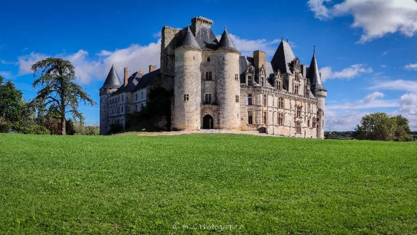 Image qui illustre: Venez découvrir le château de La Rochefoucauld