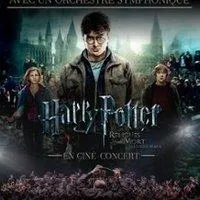 Image qui illustre: Harry Potter et les Reliques de la Mort – 2ème Partie en Concert