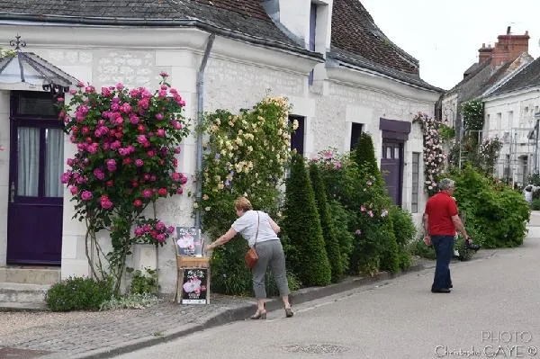 Image qui illustre: Chédigny Village Jardin "jardin Remarquable" Et Fleur D'or
