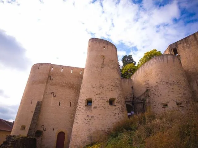 Image qui illustre: Citadelle