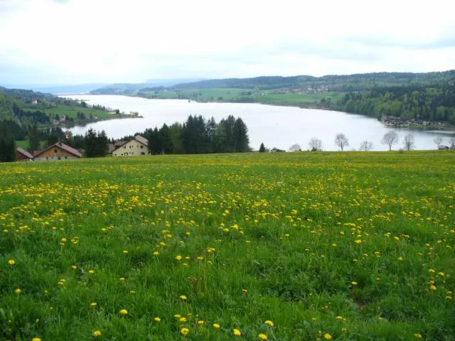 Image qui illustre: Lac De Saint-point