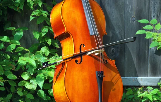 Image qui illustre: Concert : Ensemble de violoncelles à Le Havre - 0