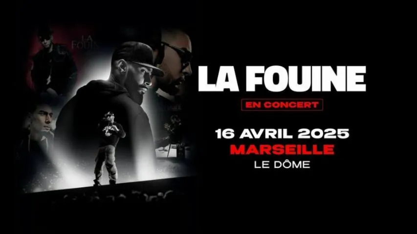 Image qui illustre: LA FOUINE