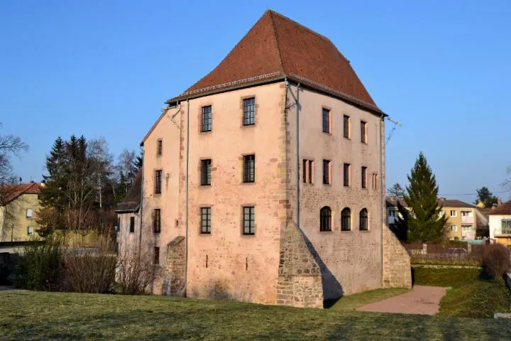 Image qui illustre: Château-musée Du Bucheneck