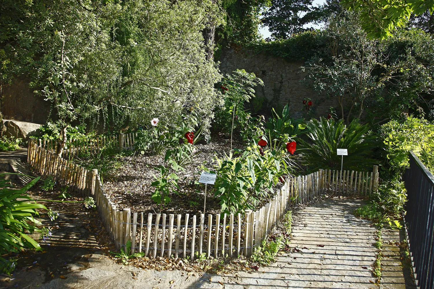 Image qui illustre: Ouverture estivale du jardin à Nantes - 0