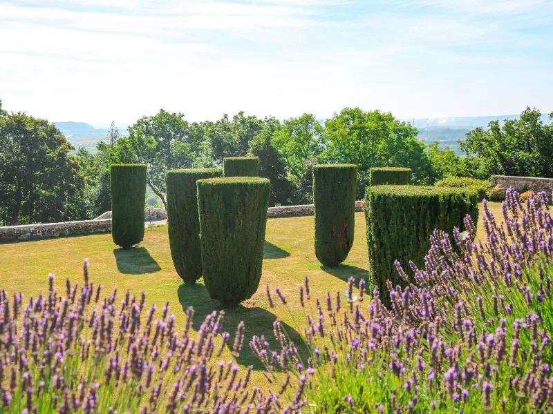 Image qui illustre: Parc du Château d'Orcher