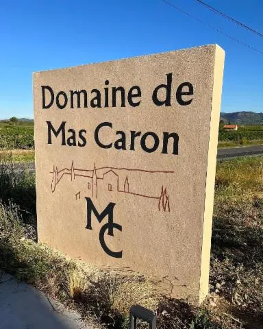 Image qui illustre: Domaine De Mas Caron