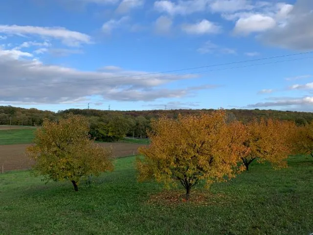 Image qui illustre: L'automne À La Ferme Fruirouge©