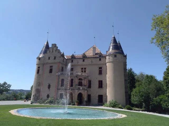 Image qui illustre: Château de Pupetières
