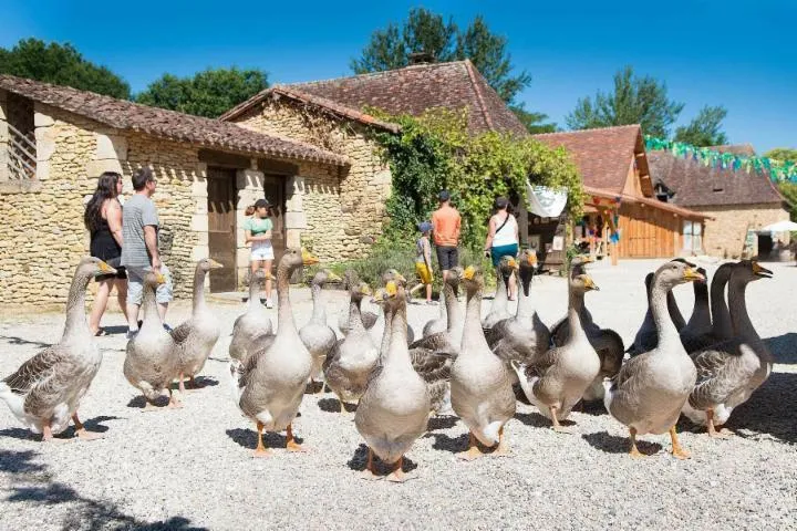 Image qui illustre: Visite d'un village reconstitué, qui vous replonge dans l'authenticité du Périgord des années 1900 !