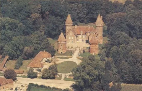 Image qui illustre: Château De Montcony à Montcony - 1