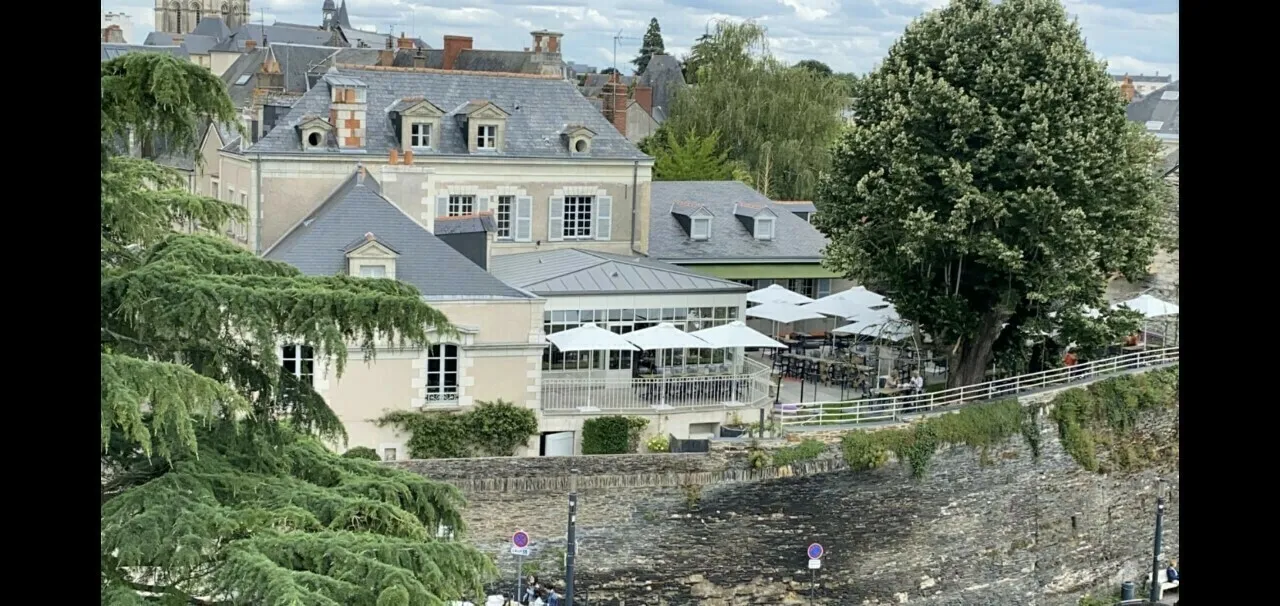 Image qui illustre: Visite guidée de l'hôtel particulier à Angers - 0