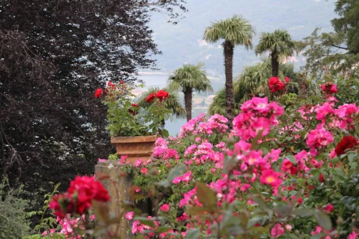 Image qui illustre: Visite guidée gratuite des jardins historiques de la Villa Bertarelli