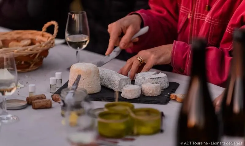 Image qui illustre: De la vigne au verre de vin  