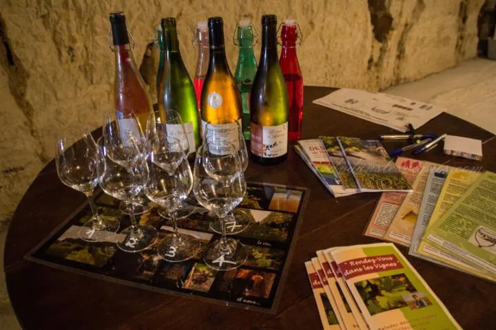 Image qui illustre: De la vigne au verre de vin