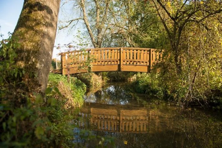 Image qui illustre: Espace Naturel De Vienne