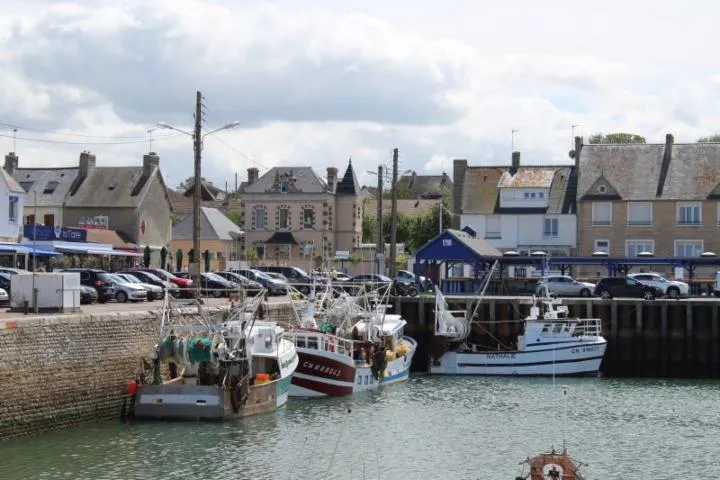 Image qui illustre: Balade En Attelage "grandcamp-maisy Et Son Port De Pêche, Au Rythme Des Chevaux"