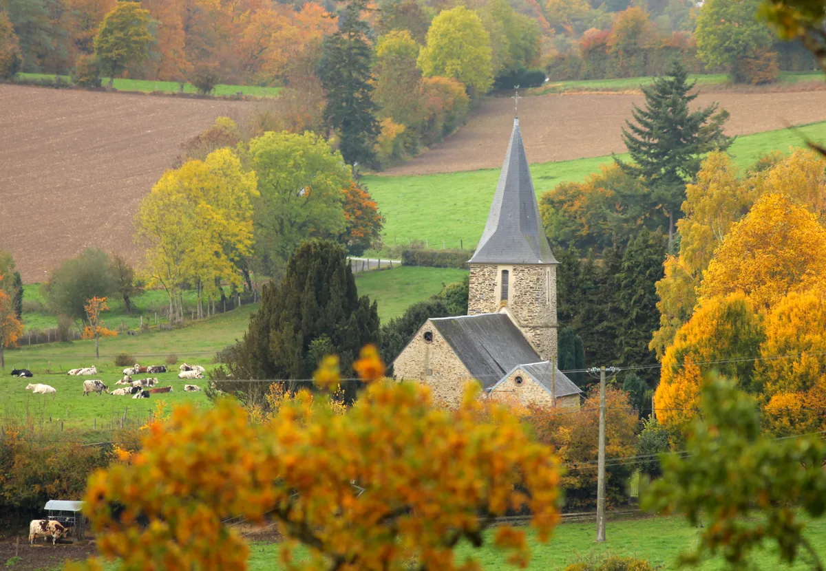 Image qui illustre: Eglise Notre Dame (xviiiè) à La Pommeraye - 0