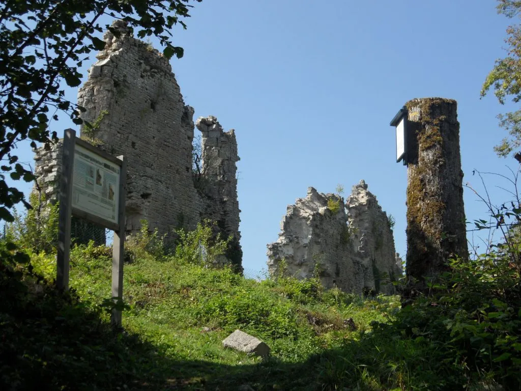 Image qui illustre: Vestiges du Château de la Tour du Meix