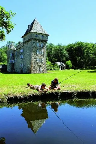 Image qui illustre: Château De La Boissonnade