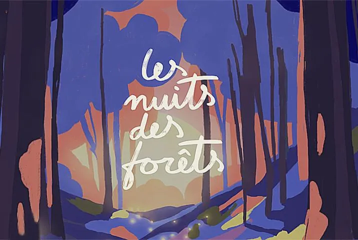 Image qui illustre: Les Nuits Des Forêts : Soiree Astronomie