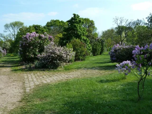 Image qui illustre: Jardins De L'ecole Du Breuil