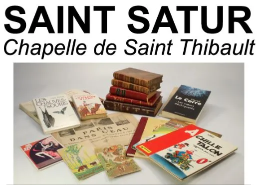 Image qui illustre: Marché Aux Livres Anciens Et Troc Pousses Et Plantes à Saint-Satur - 0