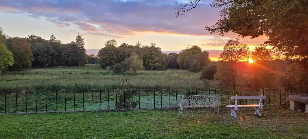 Image qui illustre: Parc du Château de Mont-l'Evêque