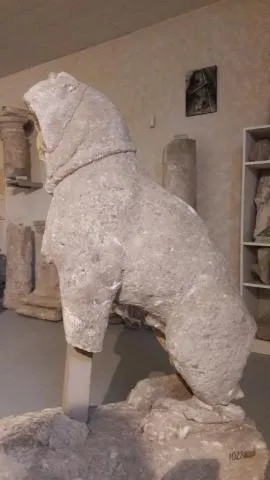 Image qui illustre: Musée Lapidaire Gallo-romain