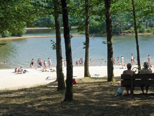 Image qui illustre: Lac De La Triouzoune - Côté Liginiac à Liginiac - 0