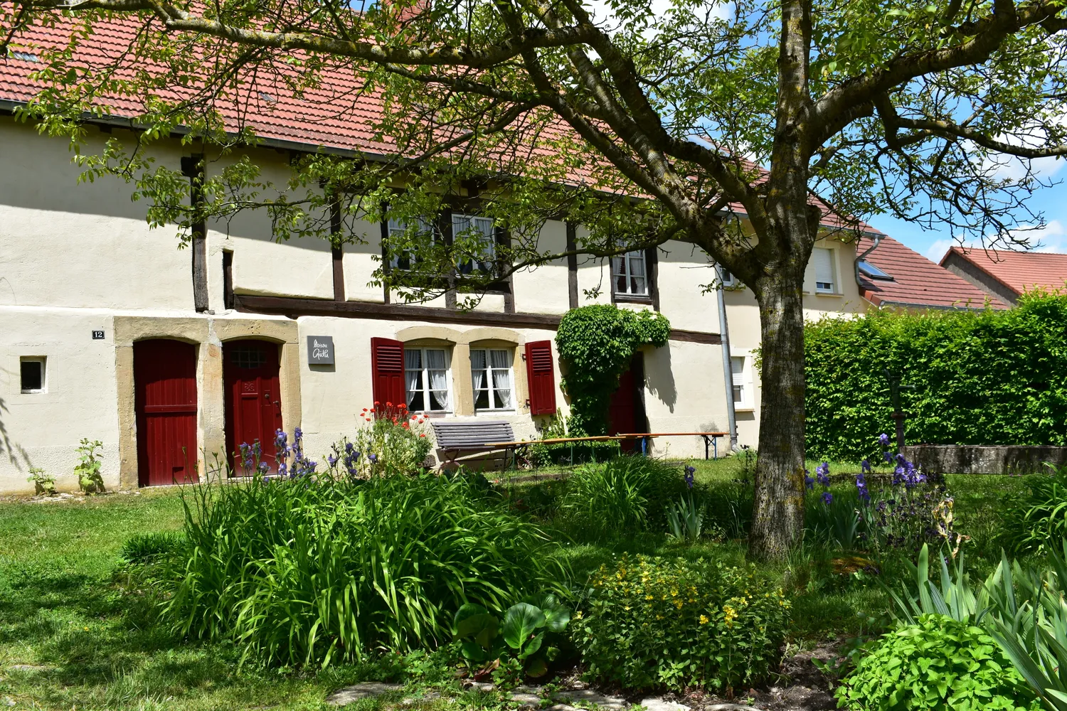 Image qui illustre: Découvrez une authentique maison mosellane du XVIIème siècle à Saint-Jean-Rohrbach - 0