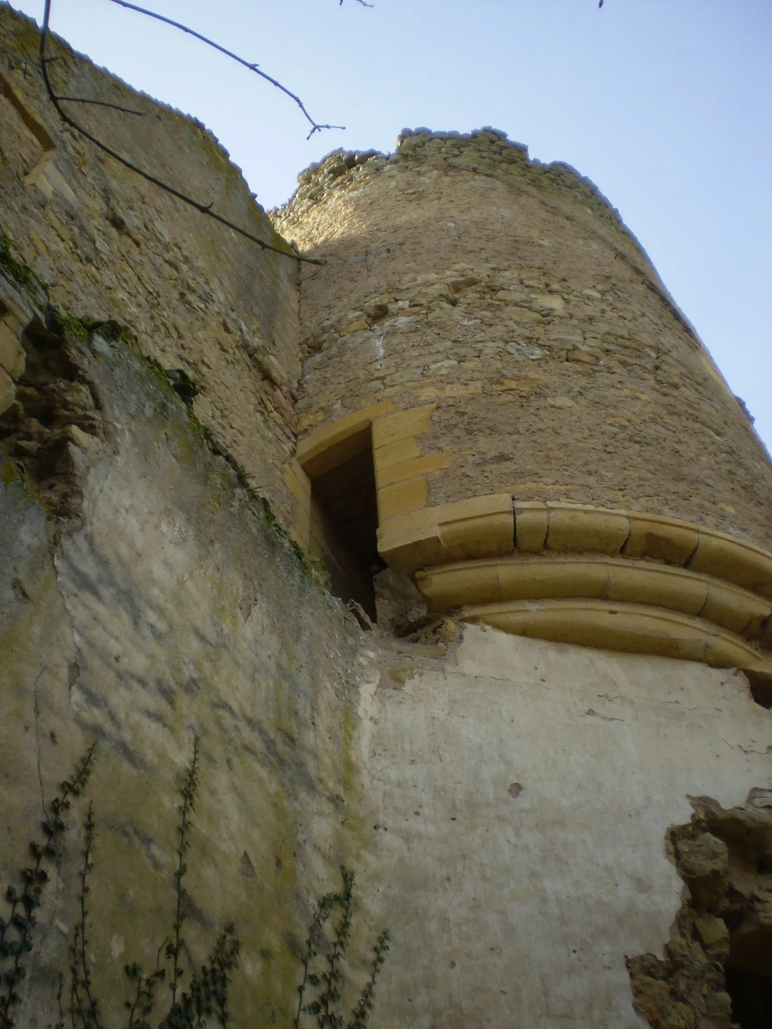 Image qui illustre: Visite des ruines du château et des moulins de Moulin l'Arconce à Poisson - 0