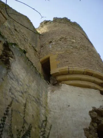 Image qui illustre: Visite des ruines du château et des moulins de Moulin l'Arconce
