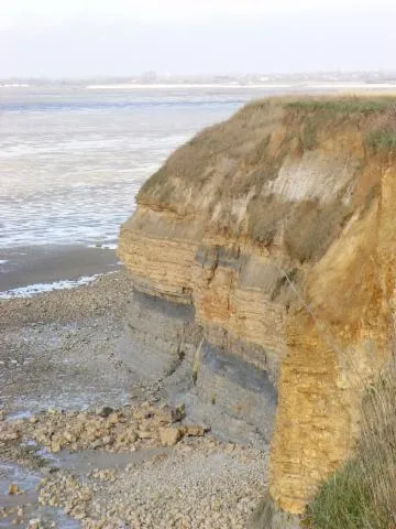 Image qui illustre: Visite commentée :  Il était une fois la baie d'Yves