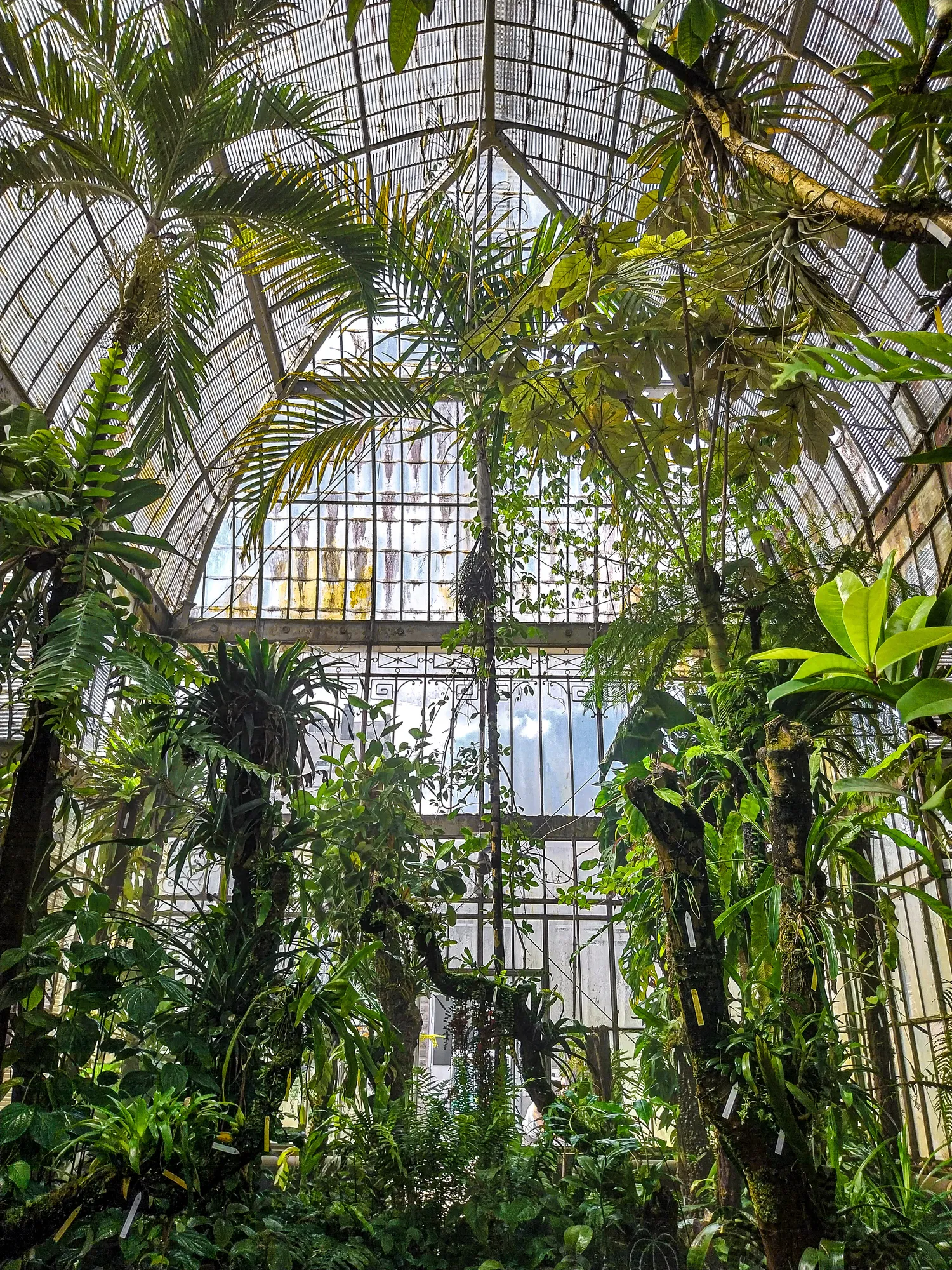 Image qui illustre: Jardin des Plantes : Le Chant du Palmarium à Nantes - 0