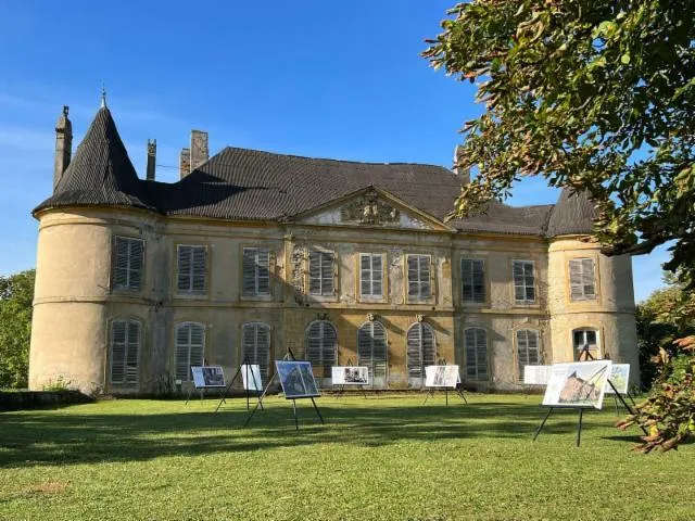 Image qui illustre: Marché des artisans dans le parc d'un château