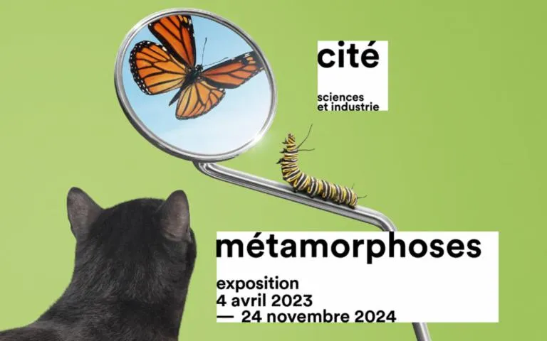 Image qui illustre: Métamorphoses, l'exposition dédiée au 6/11 ans à la Cité des sciences