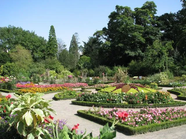 Image qui illustre: Parc de la Tête d'Or