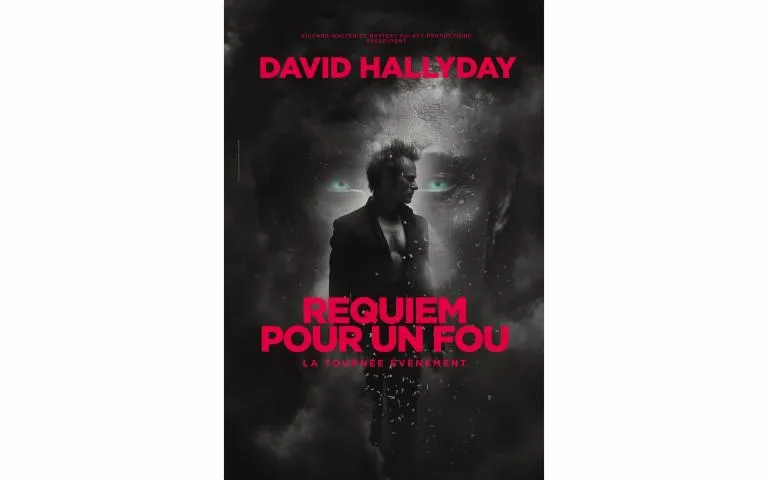 Image qui illustre: Concert: David Hallyday "requiem Pour Un Fou"