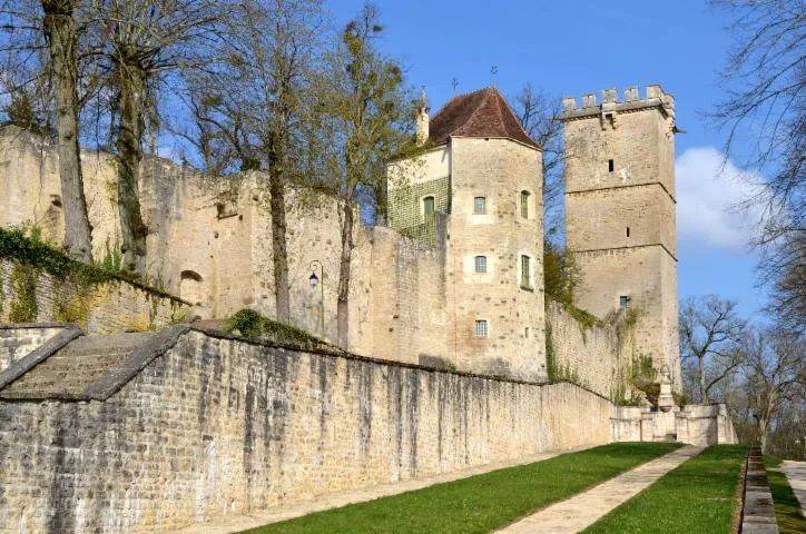 Image qui illustre: Musée Buffon