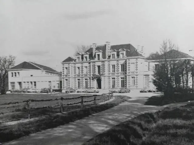 Image qui illustre: Château de la Gaudinière
