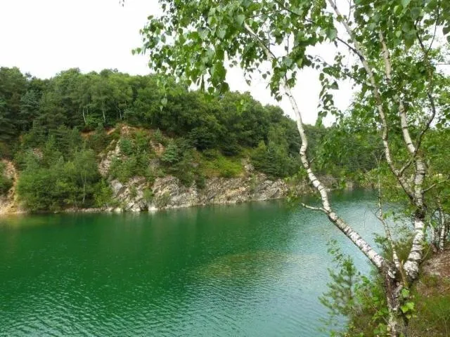 Image qui illustre: Forêt Domaniale De Sillé