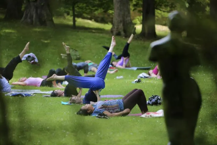 Image qui illustre: Séance de hatha-yoga au cœur du jardin