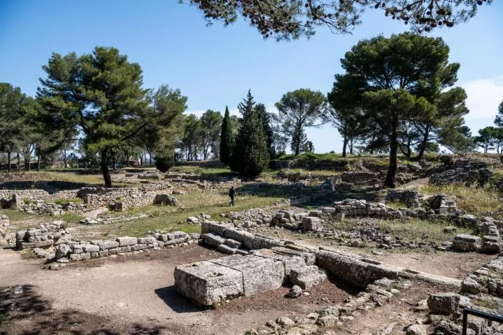 Image qui illustre: Visite guidée site archéologique de Saint-Blaise