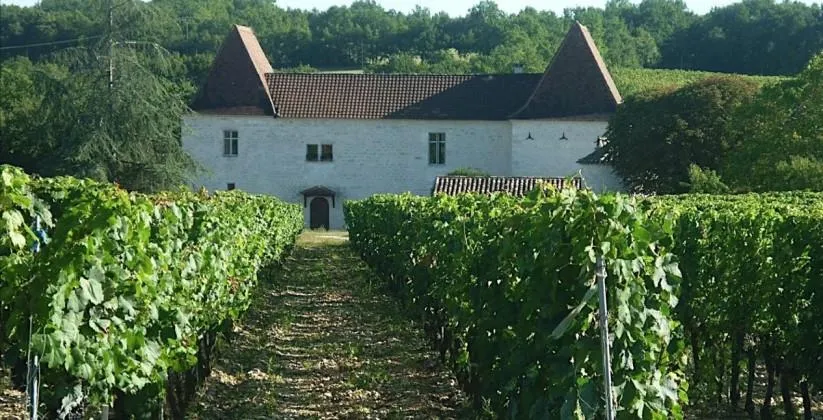 Image qui illustre: Château Tour Miraval