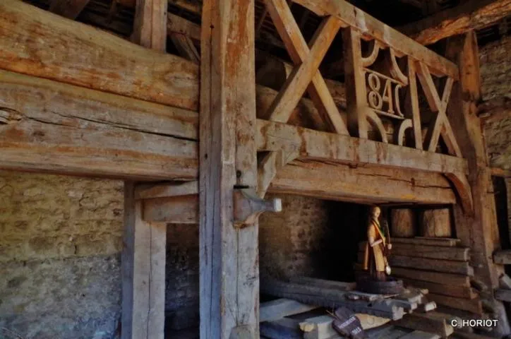 Image qui illustre: Visite du pressoir de Dannemoine