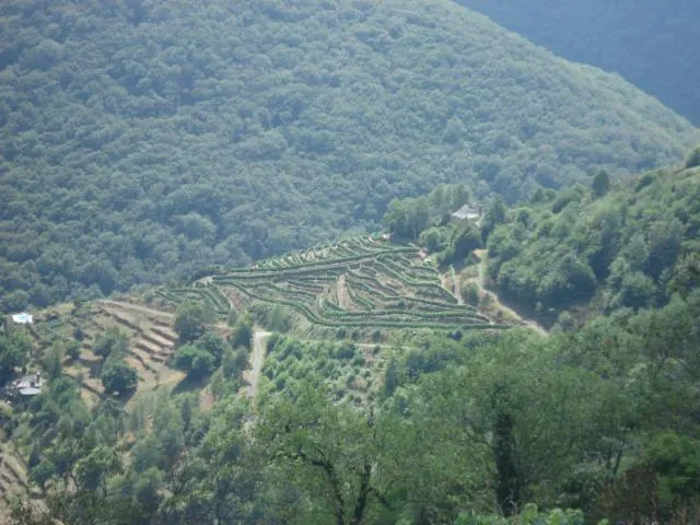 Image qui illustre: Réserve Naturelle Régionale Des Coteaux Du Fel