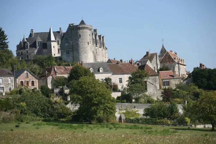 Image qui illustre: Château De Palluau-frontenac