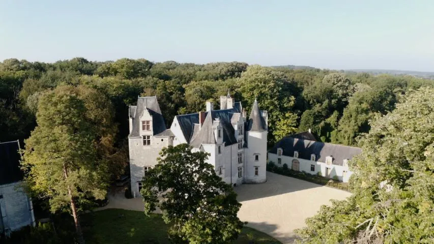 Image qui illustre: Château Des Brétignolles