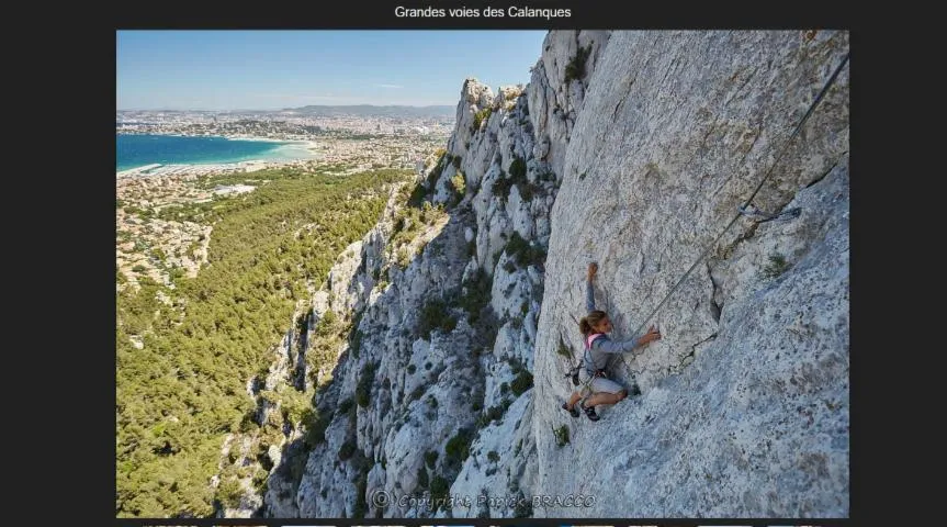 Image qui illustre: Bracco J. Papick